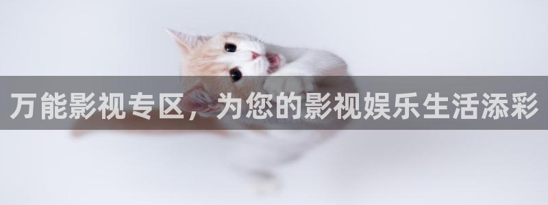 午夜不卡在线影院