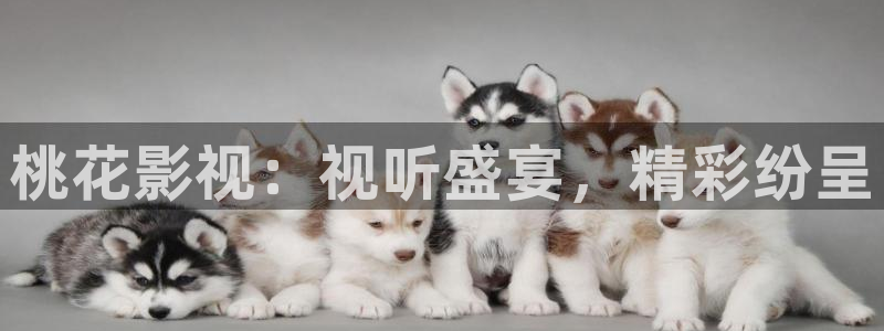 大片不卡av：桃花影视：视听盛宴，精彩纷呈