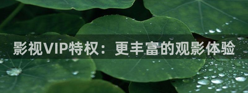 日韩不卡高清免费视频：影视VIP特权：更丰富的观影体验