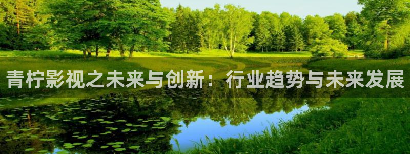 在线观看视频网站免费不卡的：青柠影视之未来与创新：行业趋势与未来发展