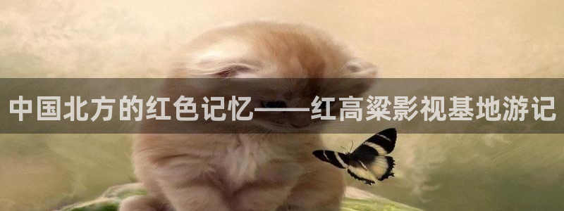 成何体统不卡影院：中国北方的红色记忆——红高粱影视基地游记