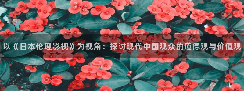 毛片不卡在线免费观看