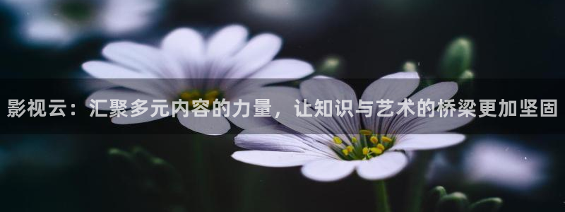不卡在线视频一区二区：影视云：汇聚多元内容的力量，让知识与艺术的桥梁更加坚固