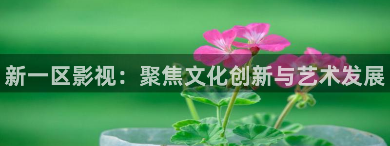 不卡视频在线观看免费：新一区影视：聚焦文化创新与艺术发展